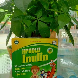 HP GOLD INULIN – Giảm Tình Trạng Táo Bón